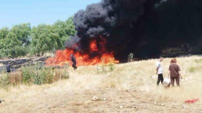 Eskişehir’de, sigara izmariti atılması sonucu çıkan ve tarımsal sulama borularını