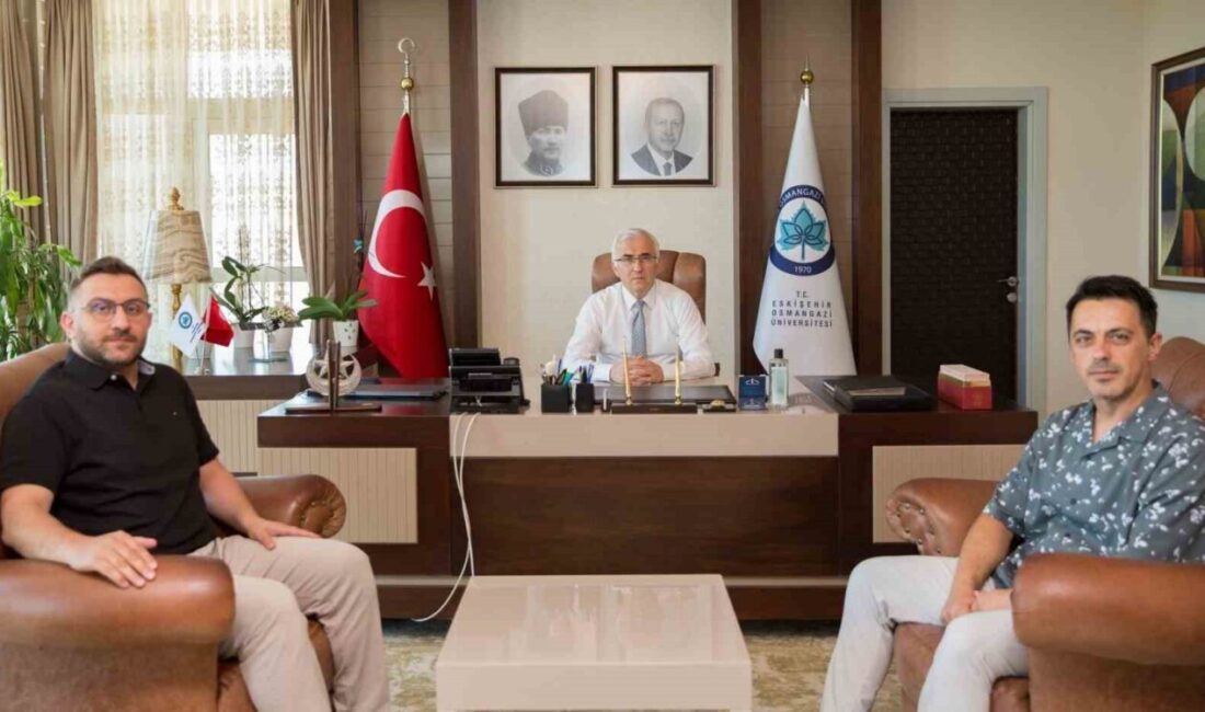 Eskişehir Osmangazi Üniversitesi, Avrupa Birliği İnovasyon ve Teknoloji Enstitüsü Yükseköğretim