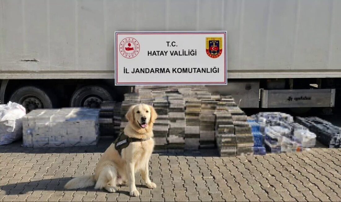 Hatay ilinde gerçekleştirilen bir operasyonda, tır dorsesinde yapılan aramada 3