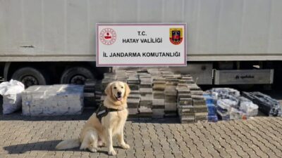 Hatay ilinde gerçekleştirilen bir operasyonda, tır dorsesinde yapılan aramada 3