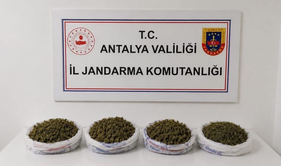 Alanya ilçesinde jandarma ekipleri, N.T. adlı şahsın ikametinde yaptıkları aramada