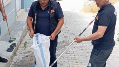 Sandıklı ilçesindeki bir evde bulunan yılan, itfaiye ekiplerince yakalanarak doğal