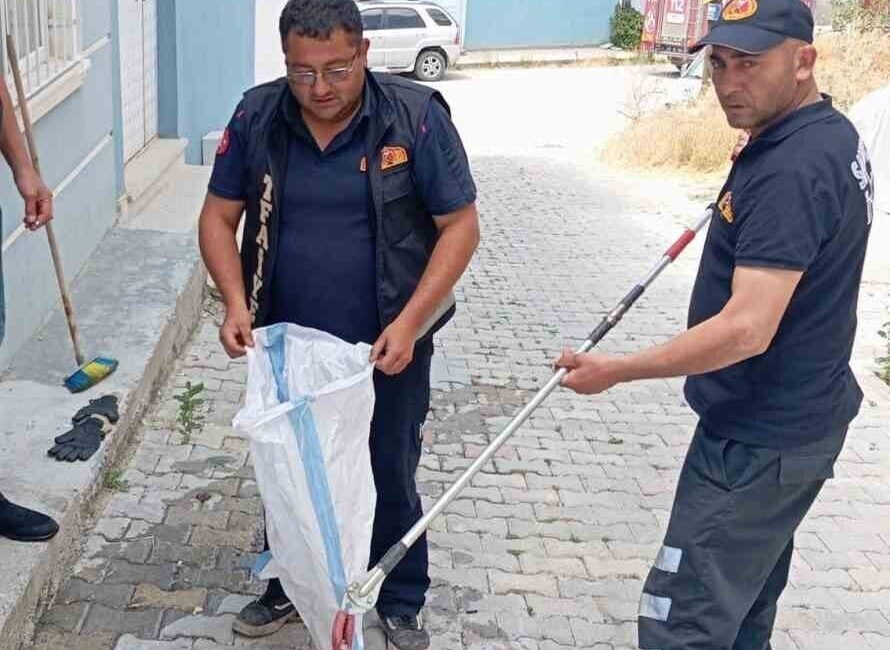 Sandıklı ilçesindeki bir evde bulunan yılan, itfaiye ekiplerince yakalanarak doğal