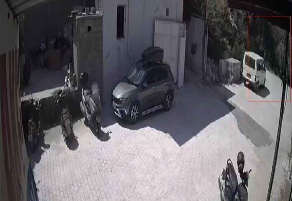 Antakya ilçesinde bir evin avlusunda bulunan 16 yaşındaki bir ağaç,