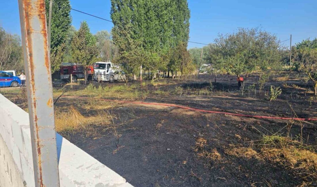 Bilecik ilinde bir evin bahçesinde meydana gelen yangın korku ve