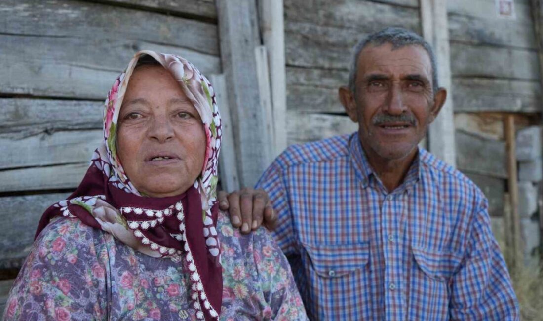 Kırıkkale’nin Balışeyh ilçesindeki otluk alanda çıkan yangın, rüzgarın etkisiyle saman