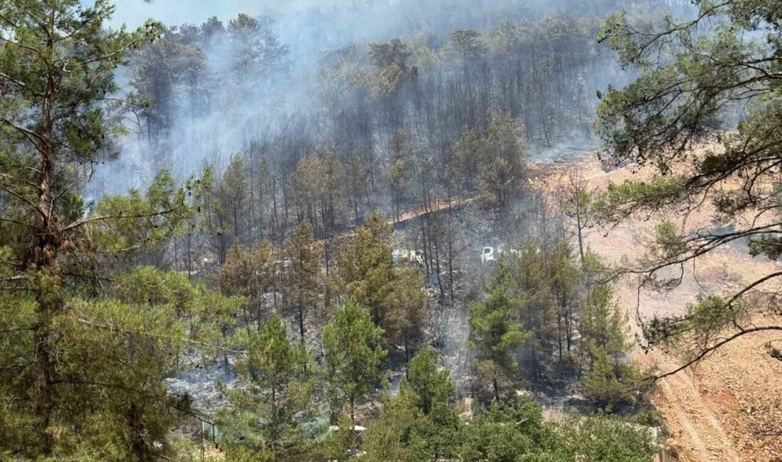 Muğla’nın Göcek Mahallesi’nde bulunan ormanlık alanda çıkan yangın, rüzgarın etkisiyle