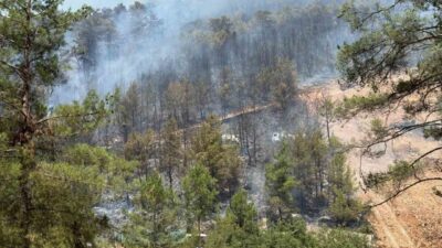 Muğla’nın Göcek Mahallesi’nde bulunan ormanlık alanda çıkan yangın, rüzgarın etkisiyle