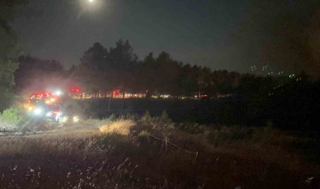 Muğla’nın Fethiye ilçesine bağlı Yeşilüzümlü Mahallesi’nde gece ilerleyen saatlerde başlayan