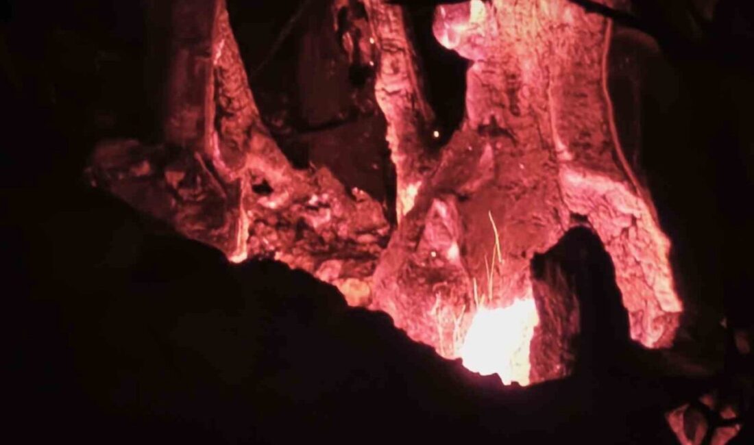 Muğla’nın Fethiye ilçesinde çıkan orman yangınında alevlerin ilerleme hızı büyük