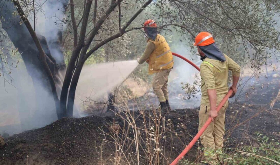 Muğla’nın Fethiye ilçesinde çıkan orman yangınının enerjisi, ekiplerin titiz çalışmaları