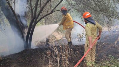 Muğla’nın Fethiye ilçesinde çıkan orman yangınının enerjisi, ekiplerin titiz çalışmaları