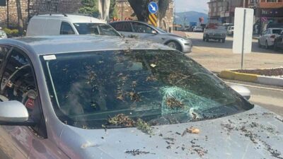 Eğirdir ilçesine bağlı Isparta’da meydana gelen fırtınada kökünden sökülen bir