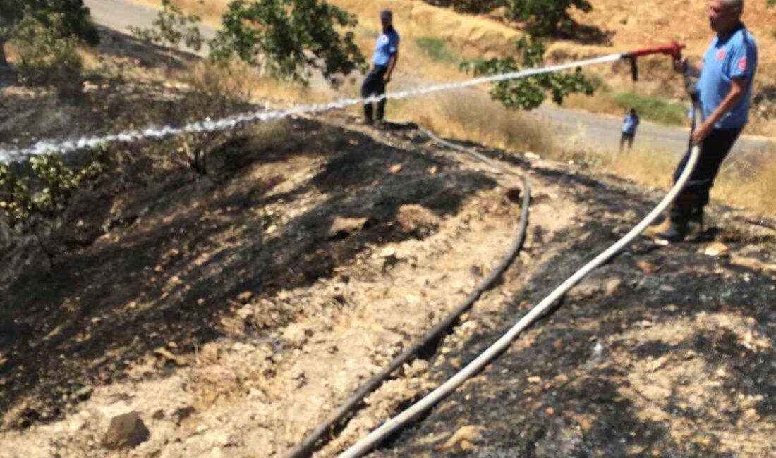 Gaziantep’in Nizip ilçesinde bir kişi, yangın çıkan fıstık tarlasında ölü
