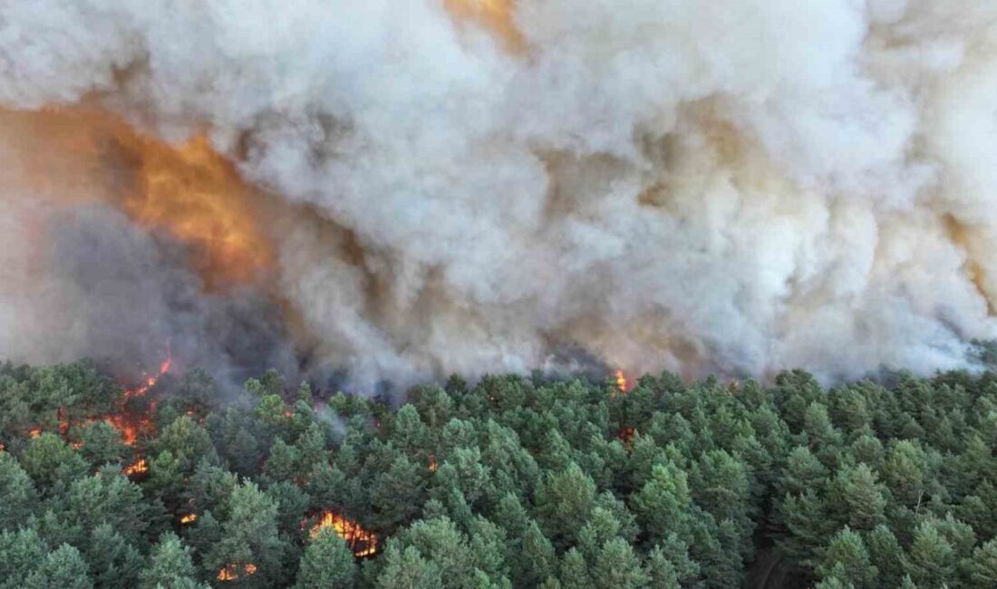 Parisin güneyinde bulunan ünlü Fontainebleau Ormanı ve yakınlarındaki yangınlar sonucunda