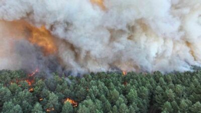 Parisin güneyinde bulunan ünlü Fontainebleau Ormanı ve yakınlarındaki yangınlar sonucunda
