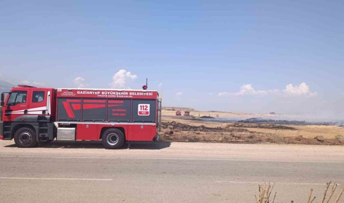 Gaziantep’in İslahiye ilçesinde hasat sonrası tarım arazilerinde meydana gelen anız