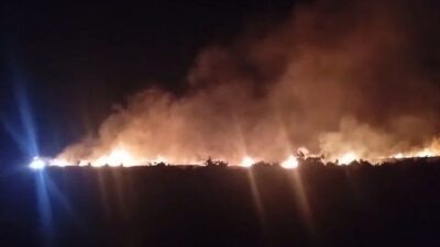 İslahiye ilçesinde meydana gelen geniş alana yayılan anız yangınının neden