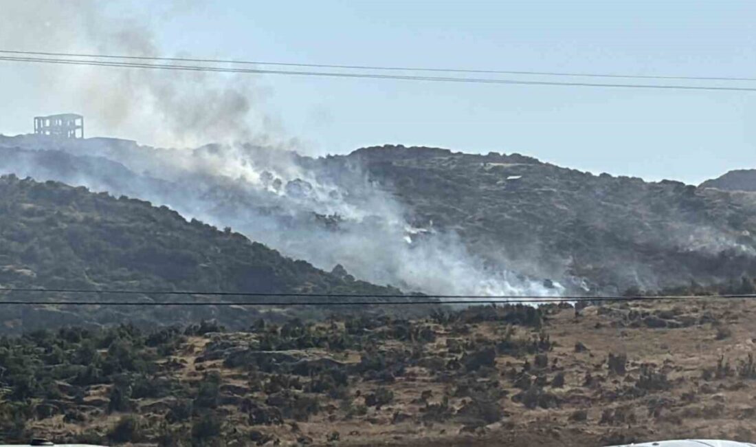 Gaziantep’teki bir makilik alanda meydana gelen yangın, ekiplerin hızlı müdahalesi