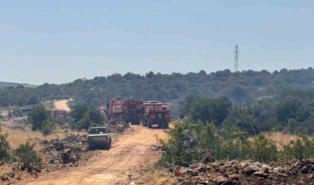 Gaziantep’in Şehitkamil ilçesine bağlı kırsal alanda meydana gelen orman yangınına
