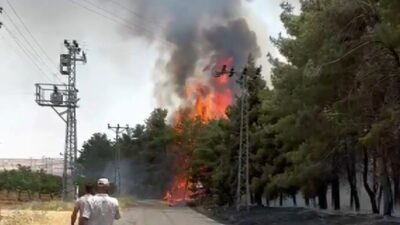 Gaziantep’in Nizip ilçesinde meydana gelen orman yangını, ekiplerin hava ve