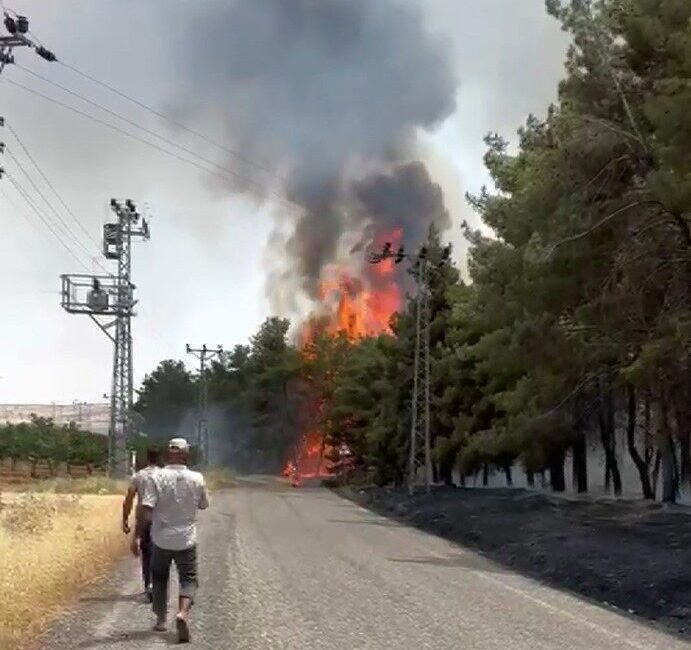 Gaziantep’in Nizip ilçesinde meydana gelen orman yangını, ekiplerin hava ve