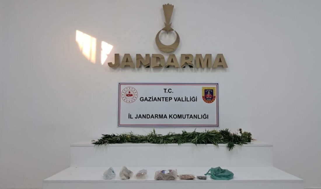 Gaziantep’te, İl Jandarma Komutanlığı ve Cumhuriyet Başsavcılığı tarafından koordine edilen