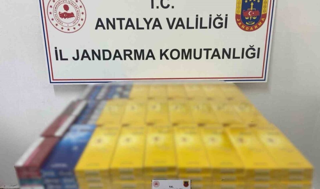 Antalya’nın Gazipaşa ilçesinde yapılan jandarma operasyonunda, 145 karton kaçak sigara