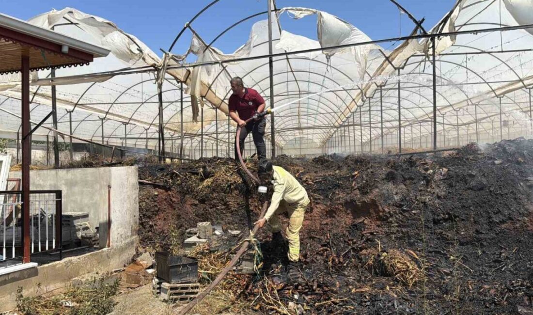 Gazipaşa ilçesindeki bir sera yangınında yaklaşık 7,5 dönüm sera ve