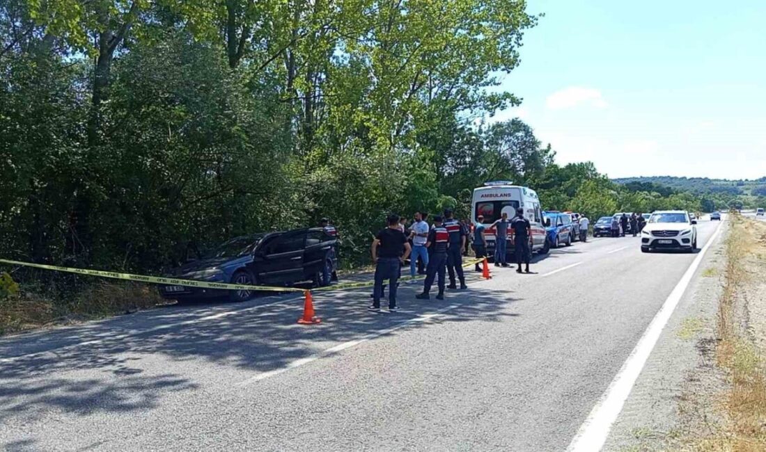 Zonguldak’ın Çaycuma ilçesinde, 28 yaşındaki bir orman işçisi, aracında ölü