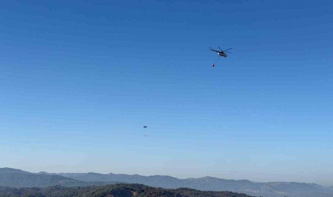 Kumgedik Mahallesi’nde başlayan ve şiddetli rüzgarın etkisiyle yayılarak Ayvalık ilçesine