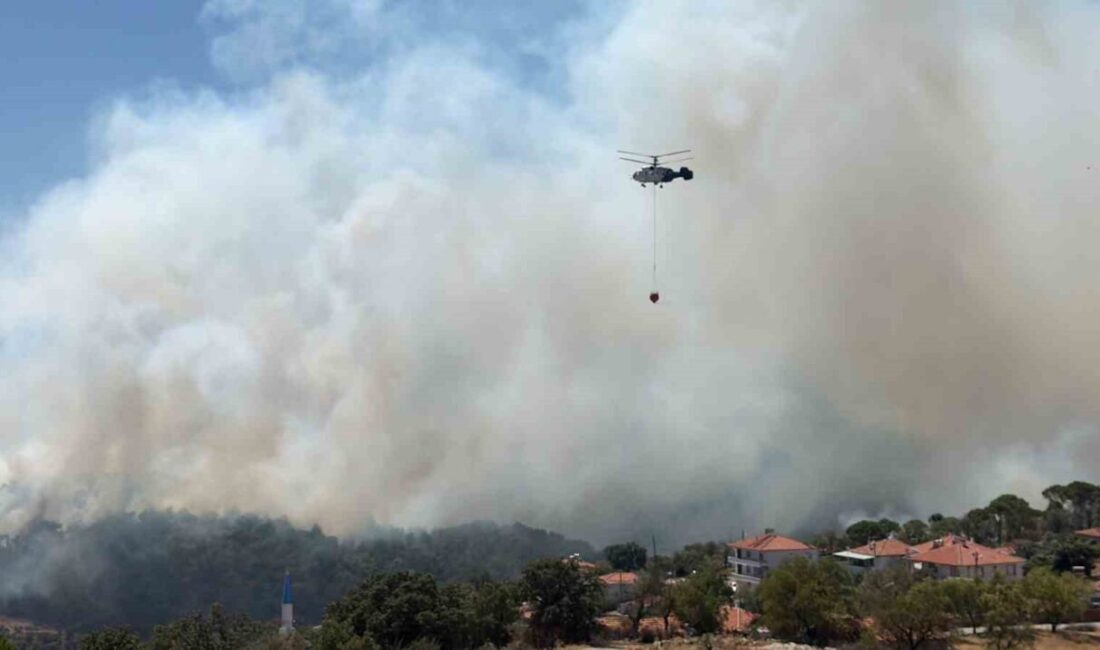 Balıkesir’in Gömeç ilçesinde başlayan orman yangını, rüzgarın etkisiyle Ayvalık ile