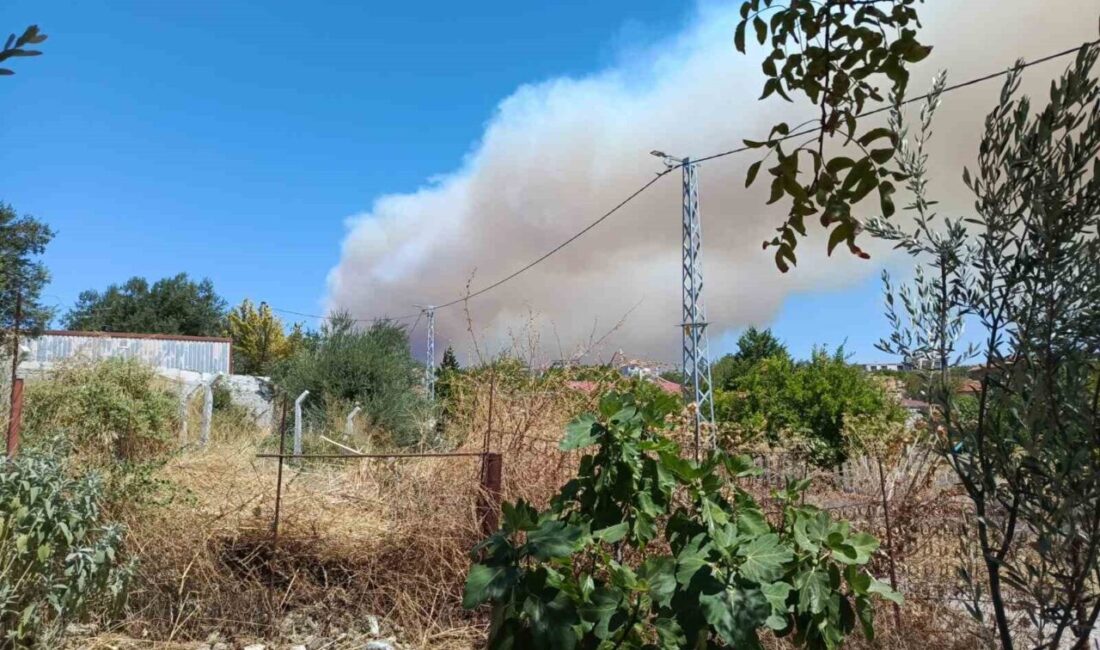 Balıkesir’in Gömeç ilçesinde, Atatürk Kayalıkları yakınındaki Kumgedik ve Hacıhüseyinler kırsal