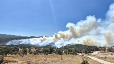 Balıkesir’in Gömeç ilçesinde dün öğle saatlerinde başlayan yangın halen devam