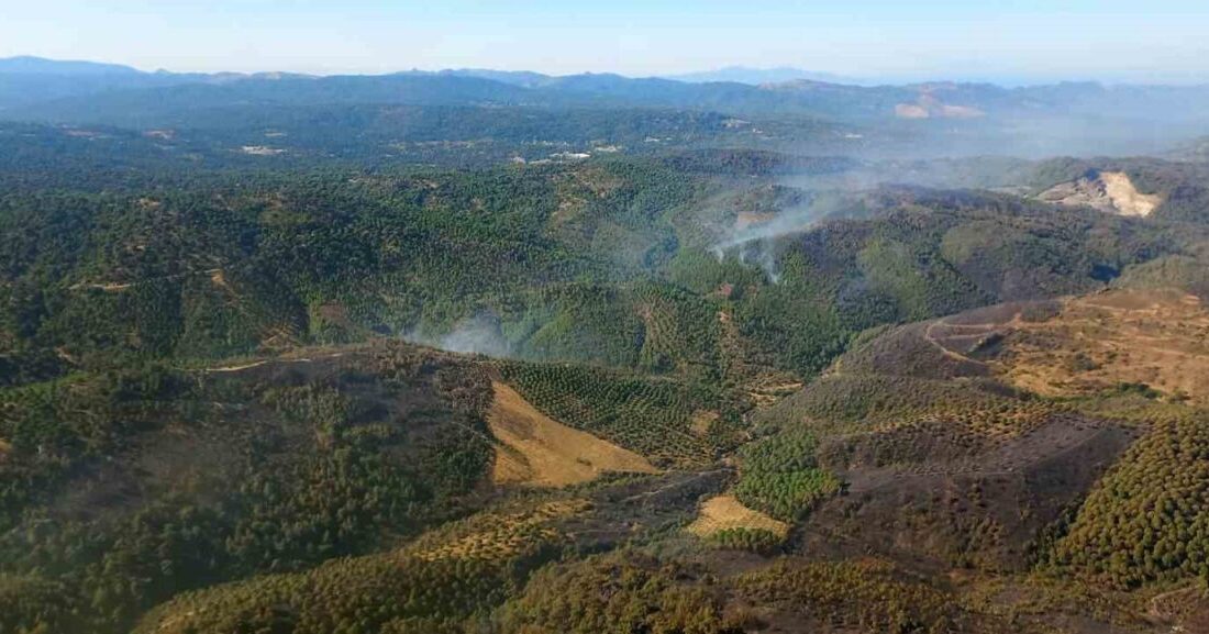 Balıkesir’in Gömeç ilçesinde 3. gününde devam eden orman yangınında artık