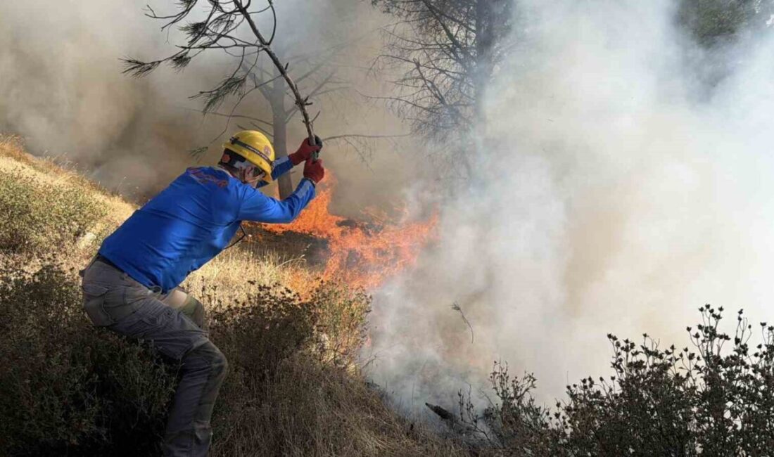 Gömeç ilçesindeki yangın rüzgarın etkisiyle tekrar alevlendi. Yangının 52. saati