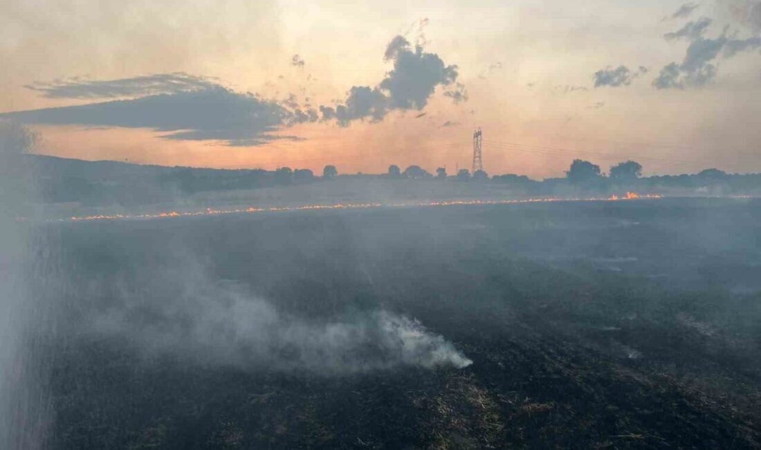 Gönen ilçesinde meydana gelen arazi yangını, Balıkesir Büyükşehir Belediyesi İtfaiye