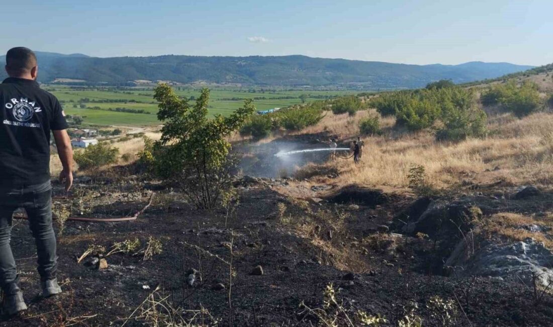 Balıkesir’in Gönen ilçesine bağlı Tütüncü ve Turplu mahallelerinde meydana gelen