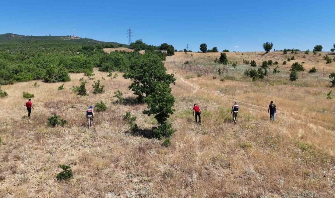 Tunceli ilinde Gülistan Doku’nun kaybolmasıyla ilgili yürütülen soruşturma kapsamında arama