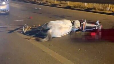 Birecik ilçesinde meydana gelen bir olayda, hafif ticari aracın at
