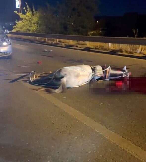 Birecik ilçesinde meydana gelen bir olayda, hafif ticari aracın at