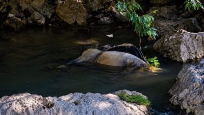 Hakkari’nin Derecik ilçesinde, yaklaşık dört gündür haber alınamayan bir kişiyi