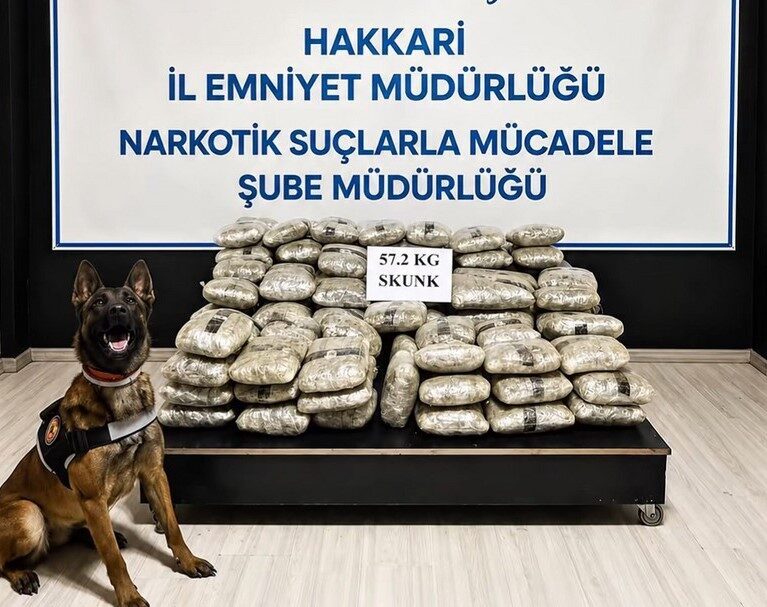 Hakkari’nın Yüksekova ilçesinde polis ekipleri tarafından durdurulan bir araçta 57