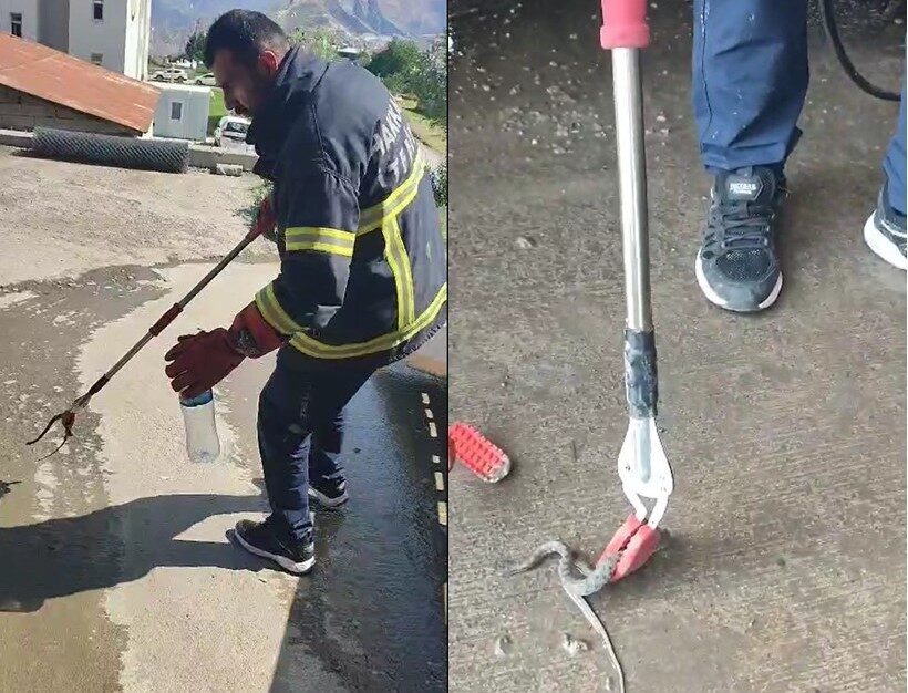 Hakkari’de, sıcaklıkların artmasıyla birlikte kent merkezinde sıklıkla ortaya çıkan yılanlar,