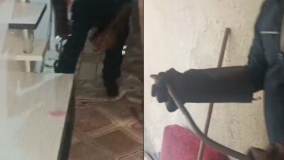 Hakkari’de bir ailenin evine giren bir yılan, aileyi korku dolu