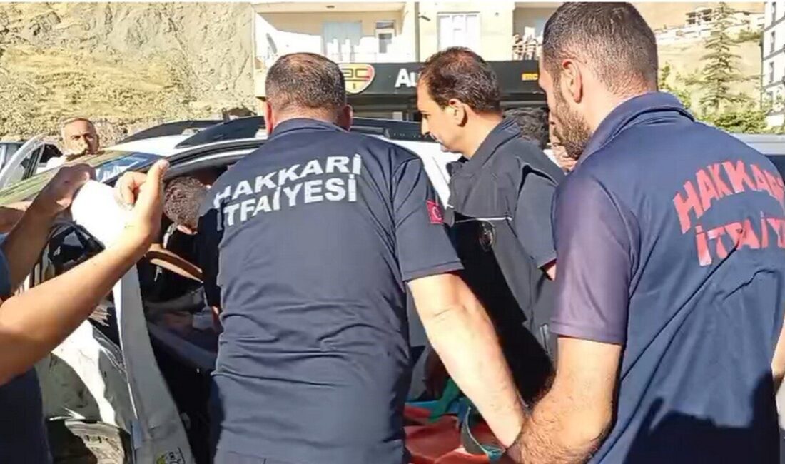 Hakkari-Van karayolunda meydana gelen trafik kazasında 1 kişi yaralandı. Kelikpınar