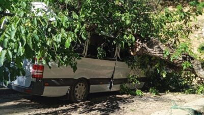 Hakkari’nin Çukurca ilçesine bağlı Kayalık köyünde, Şakir Tan’a ait bir
