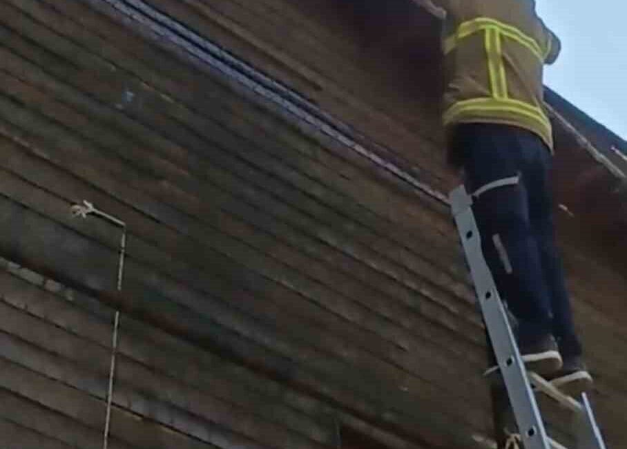 Safranbolu ilçesinde, bir halı sahanın üst demirlerinde sıkışmış halde bulunan