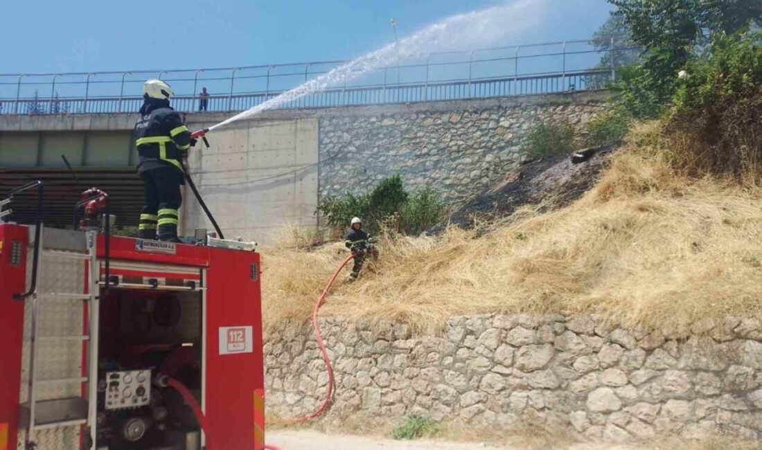 Bilecik’teki ormanlık alanda çıkan ve endişeye yol açan yangın, kontrol