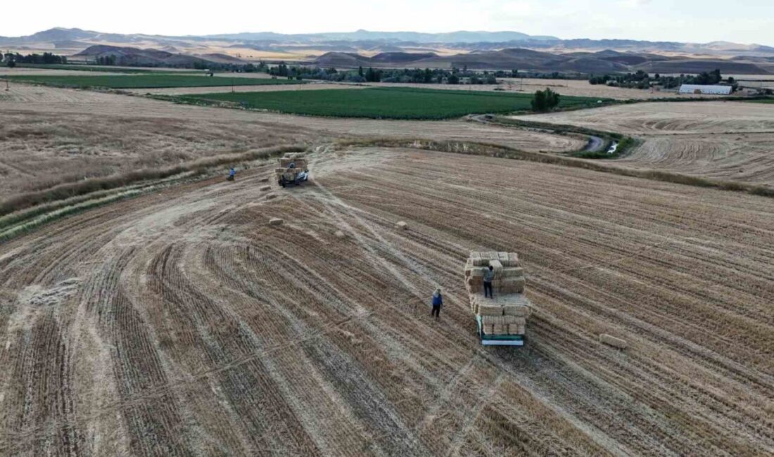 Yozgat, Türkiye’nin büyük tahıl üretim merkezlerinden biri olarak, hububat hasadının